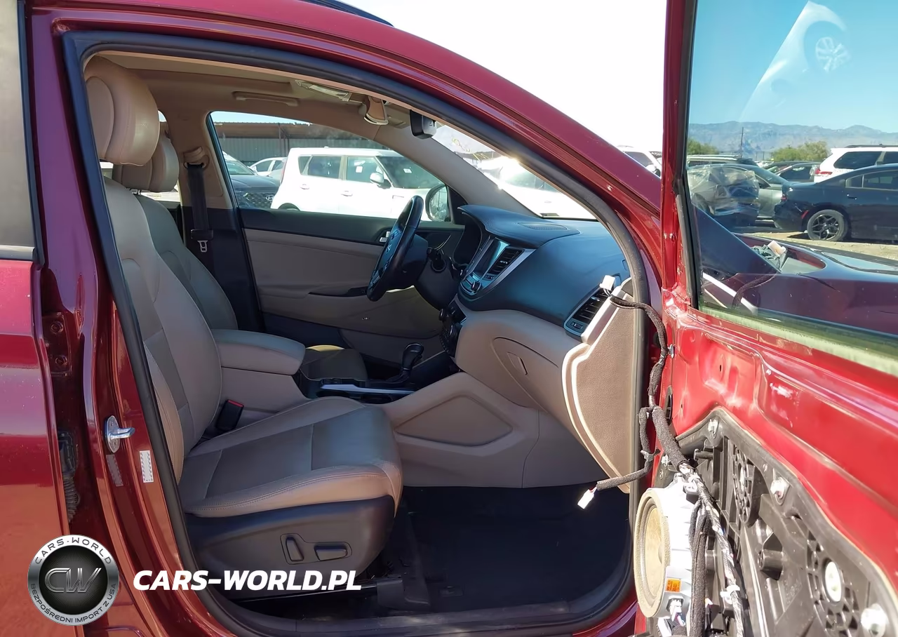 2017 Hyundai Tucson Limited VIN:KM8J33A21HU329285 - 5