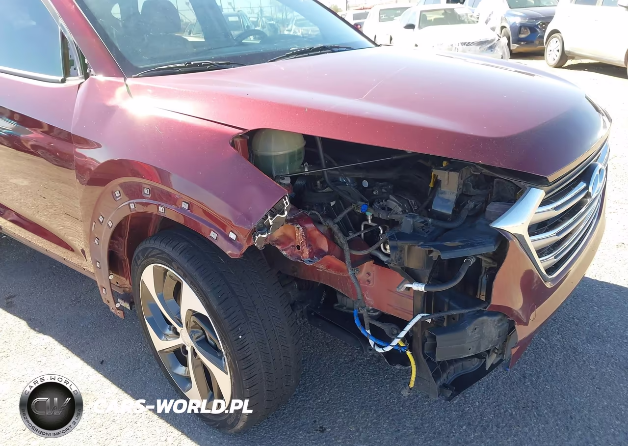 2017 Hyundai Tucson Limited VIN:KM8J33A21HU329285 - 6
