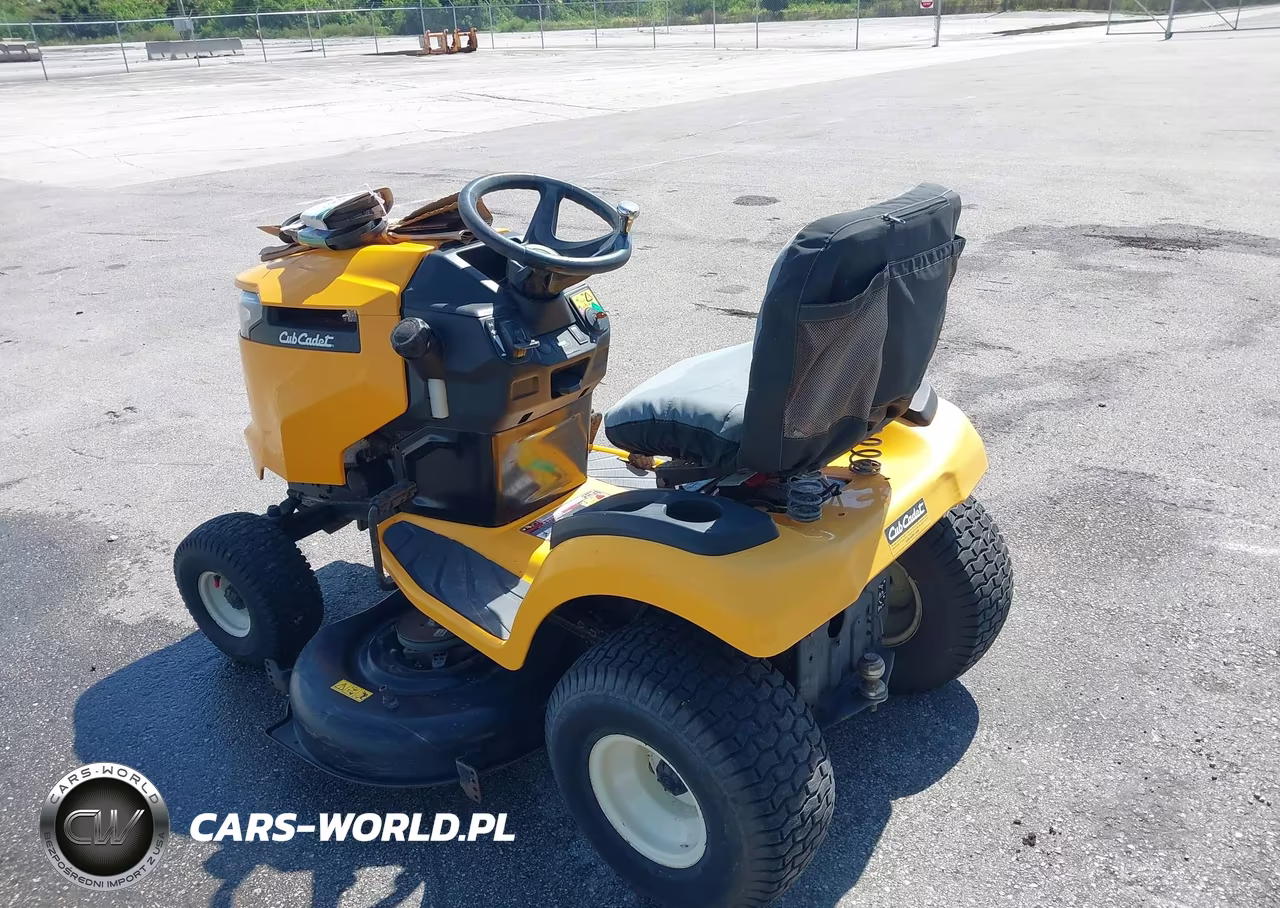 2018 Cub Cadet Xt Enduro VIN:1E295H30122 - 3