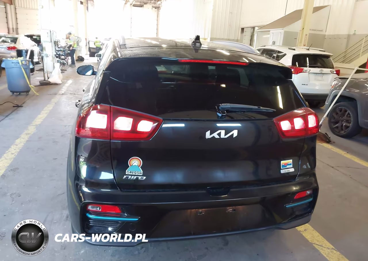 2022 Kia Niro Ev Ex VIN:KNDCC3LGXN5117254 - 17