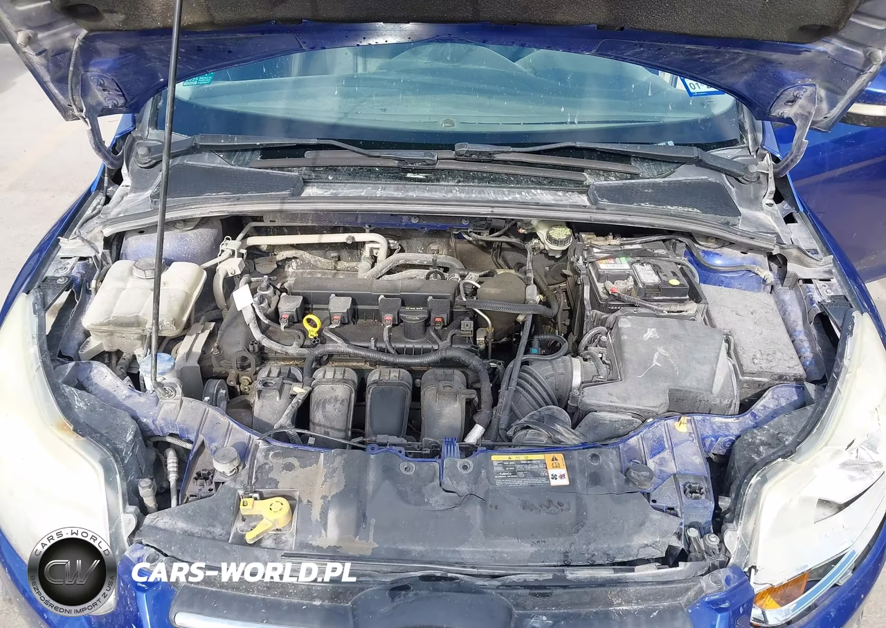 2014 Ford Focus Se VIN:1FADP3K27EL132813 - 10