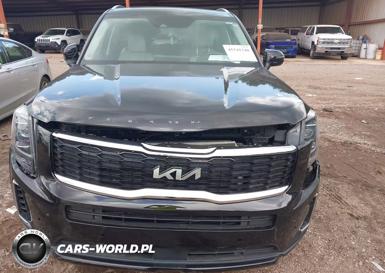 2022 Kia Telluride S VIN:5XYP64HC1NG256264 - 11