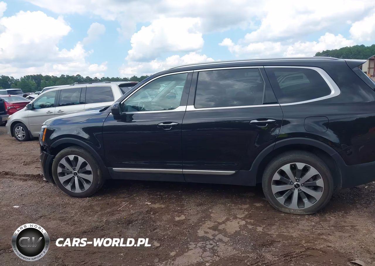 2022 Kia Telluride S VIN:5XYP64HC1NG256264 - 13