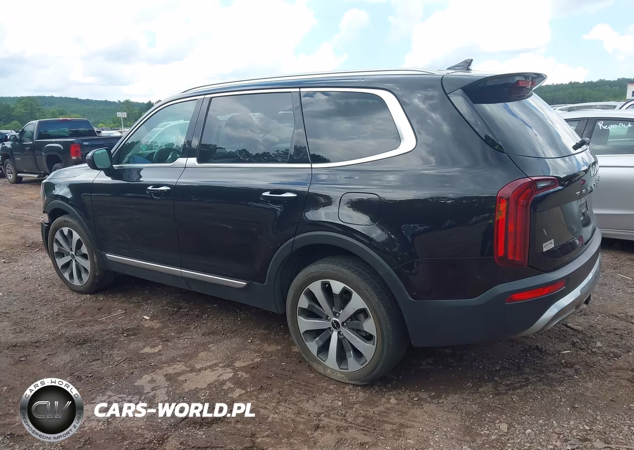 2022 Kia Telluride S VIN:5XYP64HC1NG256264 - 3