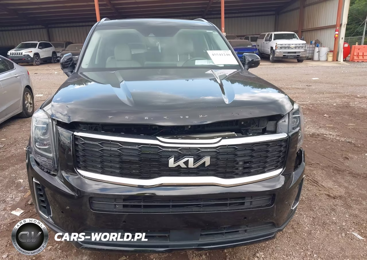 2022 Kia Telluride S VIN:5XYP64HC1NG256264 - 6