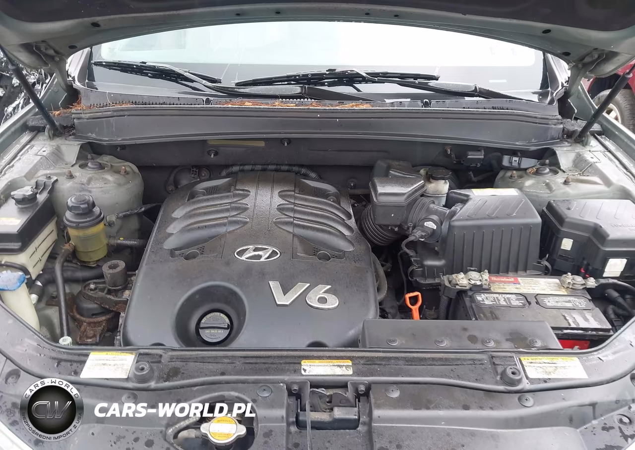2007 Hyundai Santa Fe Limited-Se VIN:5NMSH73E17H126699 - 10