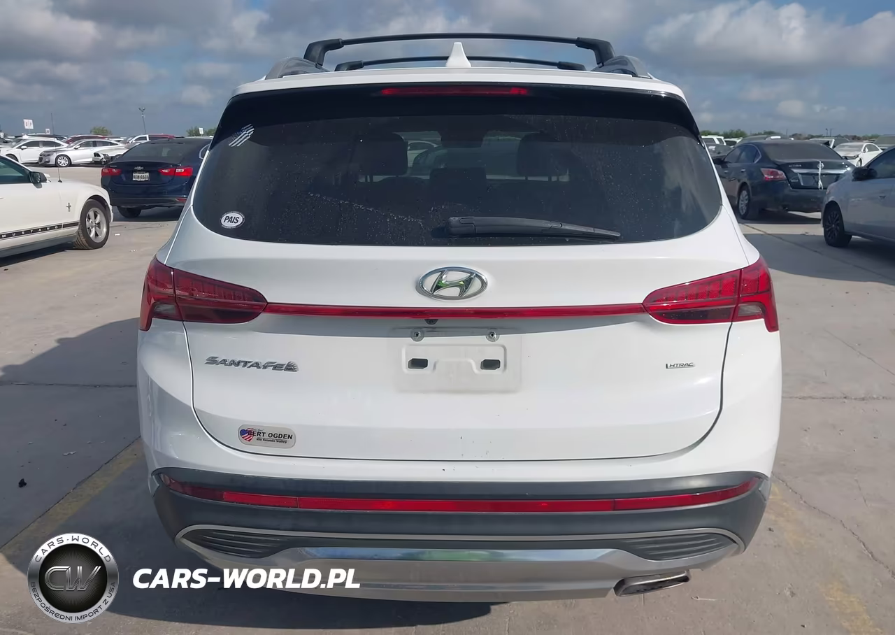 2023 Hyundai Santa Fe Sel VIN:5NMS3DAJ0PH534303 - 17