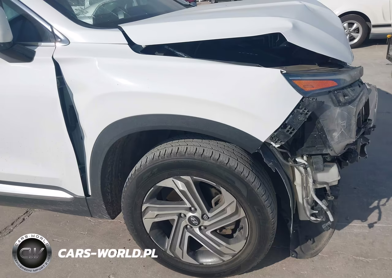 2023 Hyundai Santa Fe Sel VIN:5NMS3DAJ0PH534303 - 18