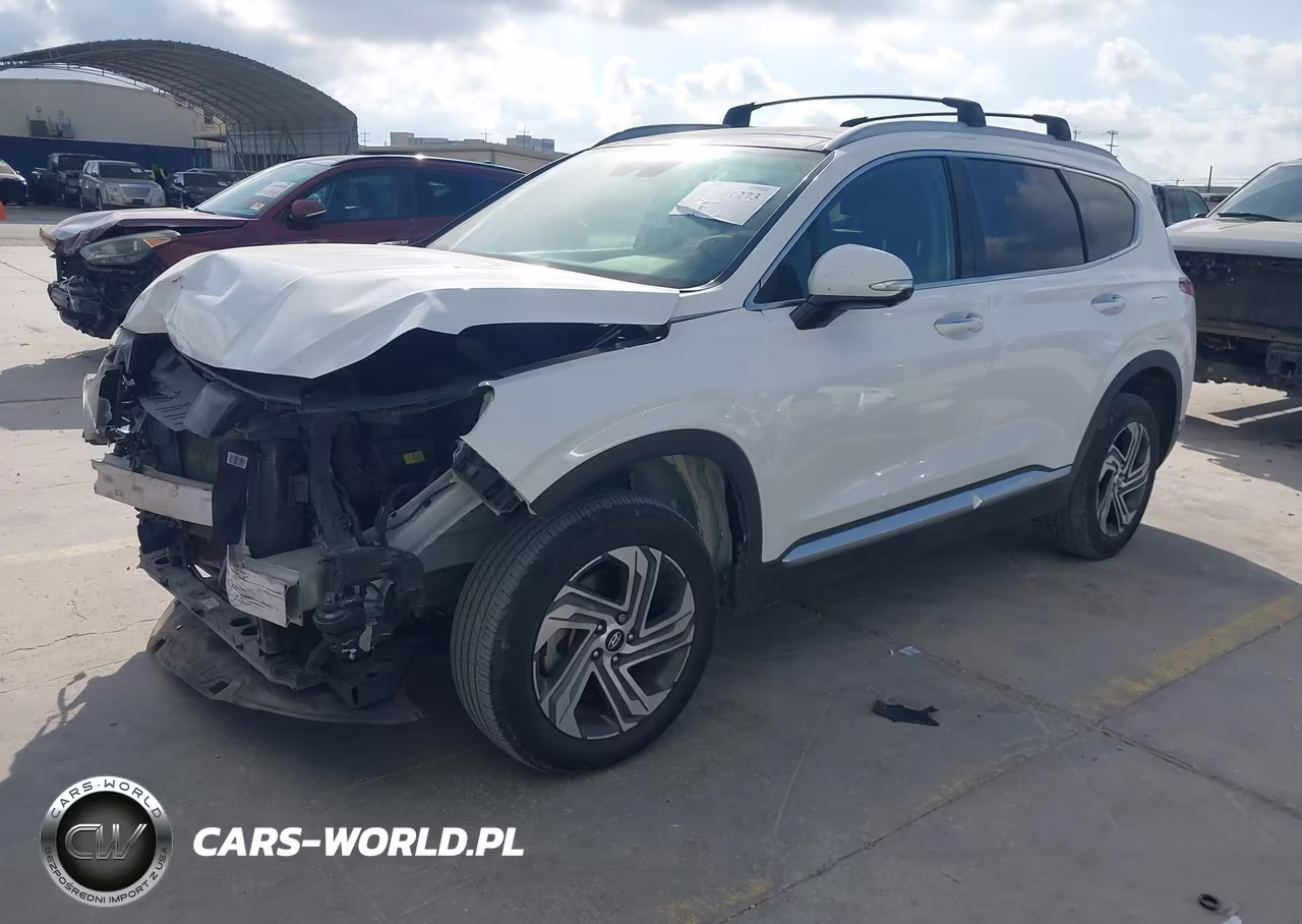 2023 Hyundai Santa Fe Sel VIN:5NMS3DAJ0PH534303 - 2