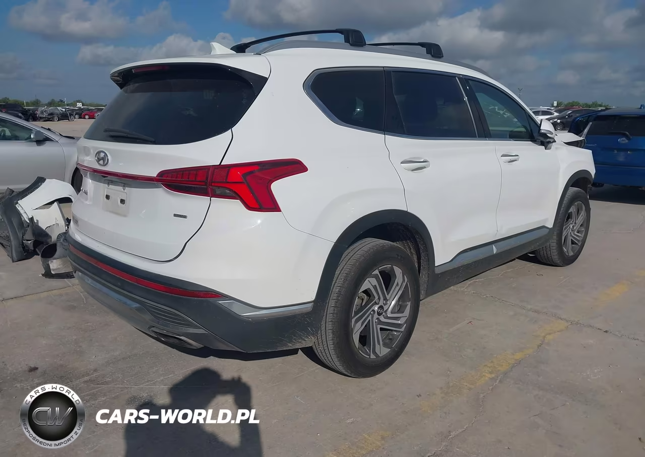2023 Hyundai Santa Fe Sel VIN:5NMS3DAJ0PH534303 - 4