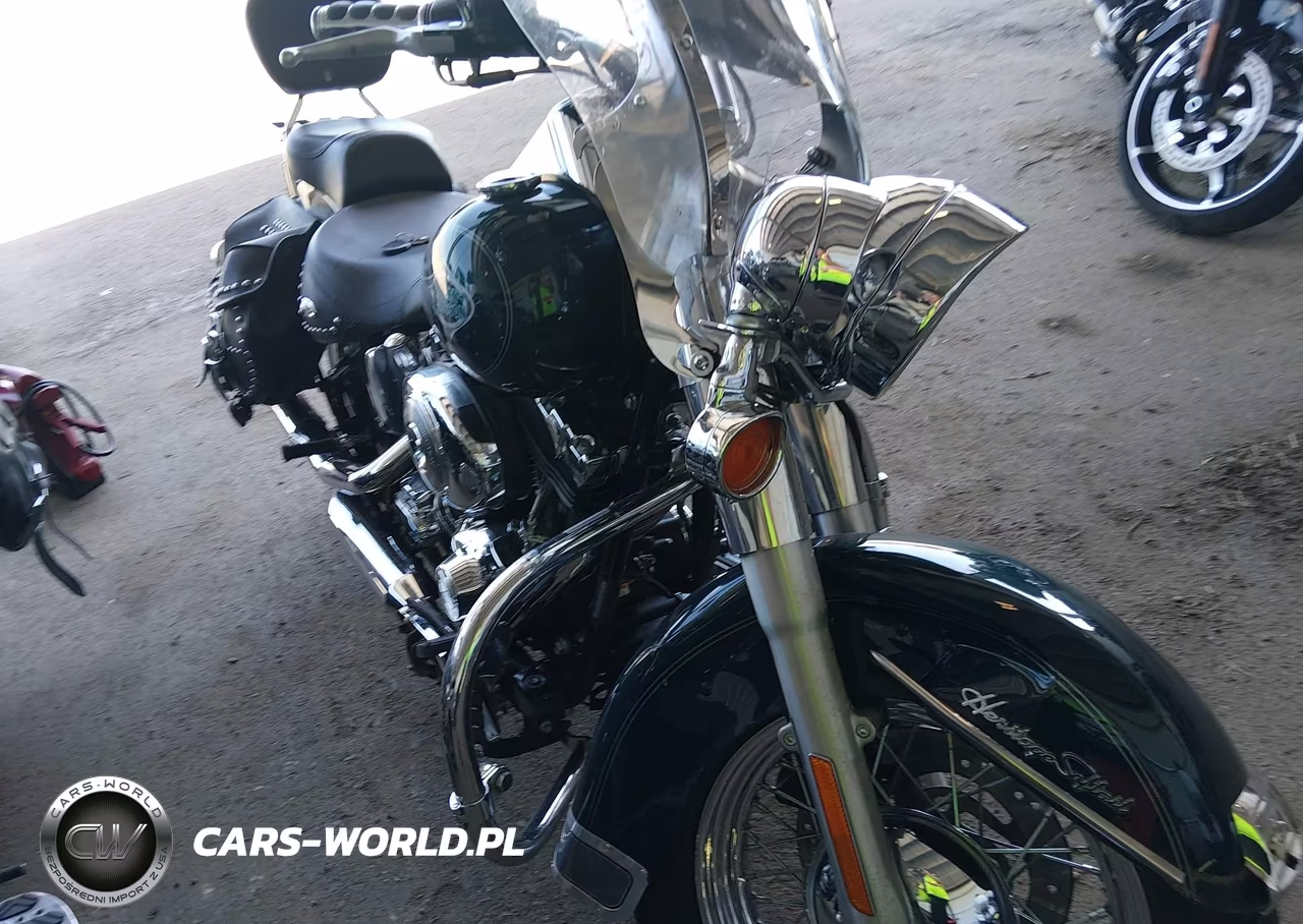 2001 Harley-Davidson Flstci