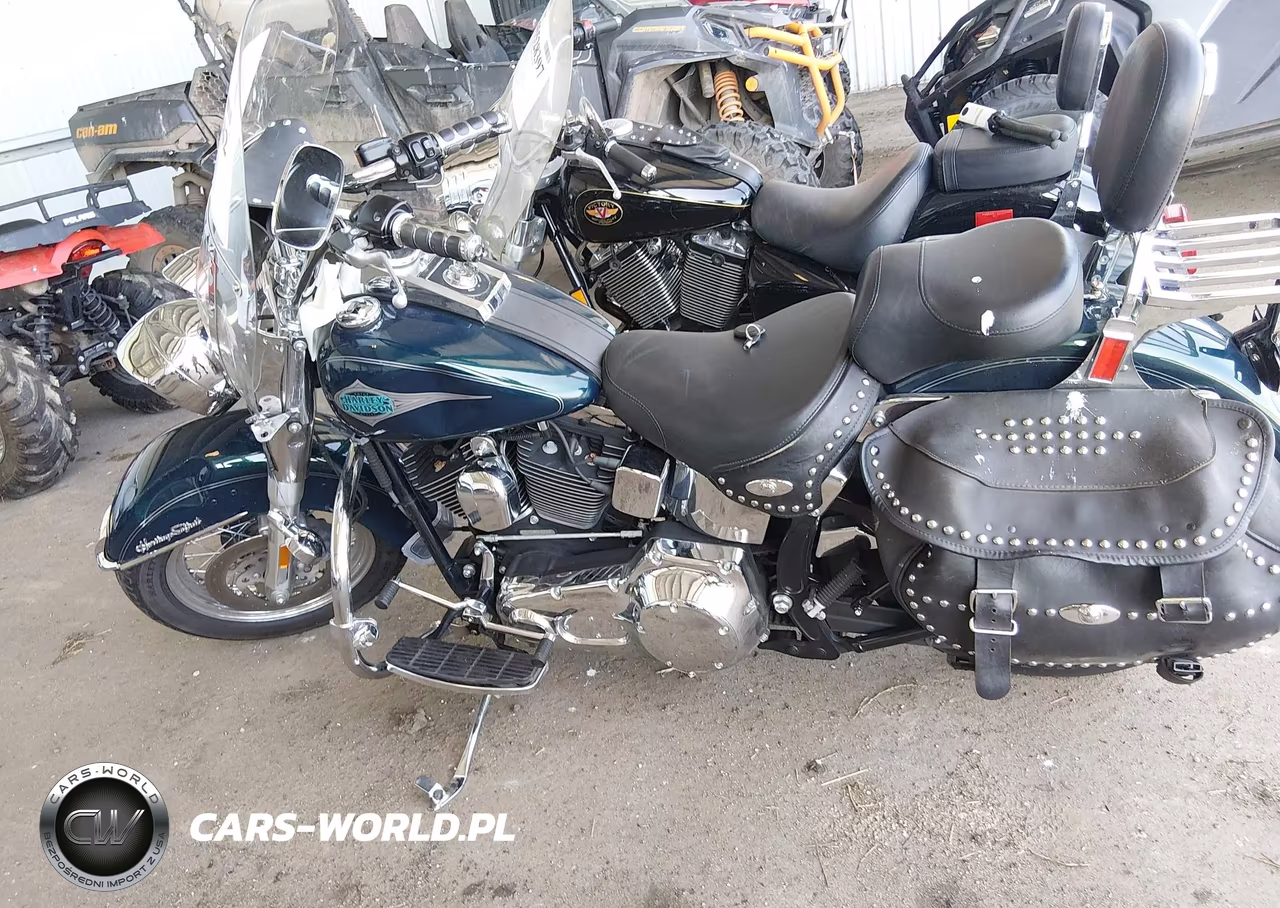 2001 Harley-Davidson Flstci VIN:1HD1BWB161Y056579 - 13