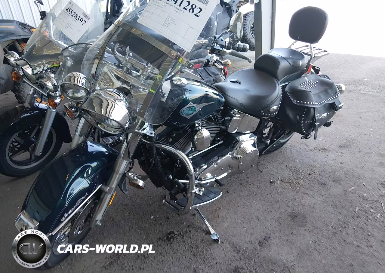 2001 Harley-Davidson Flstci VIN:1HD1BWB161Y056579 - 2