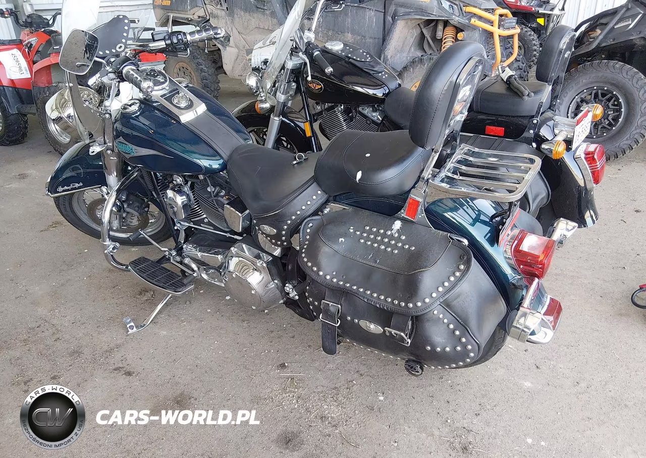 2001 Harley-Davidson Flstci VIN:1HD1BWB161Y056579 - 3