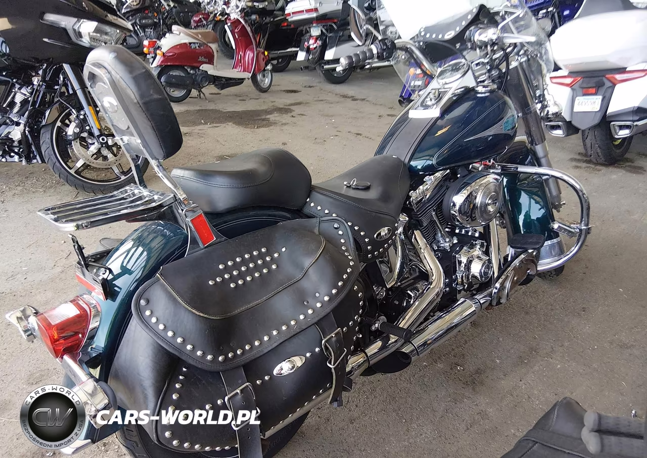 2001 Harley-Davidson Flstci VIN:1HD1BWB161Y056579 - 4
