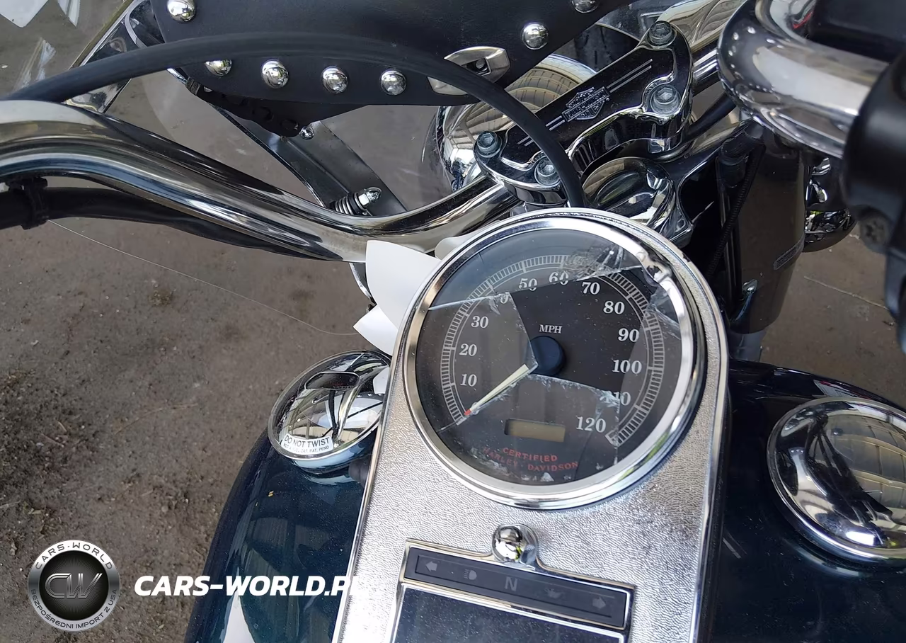 2001 Harley-Davidson Flstci VIN:1HD1BWB161Y056579 - 7