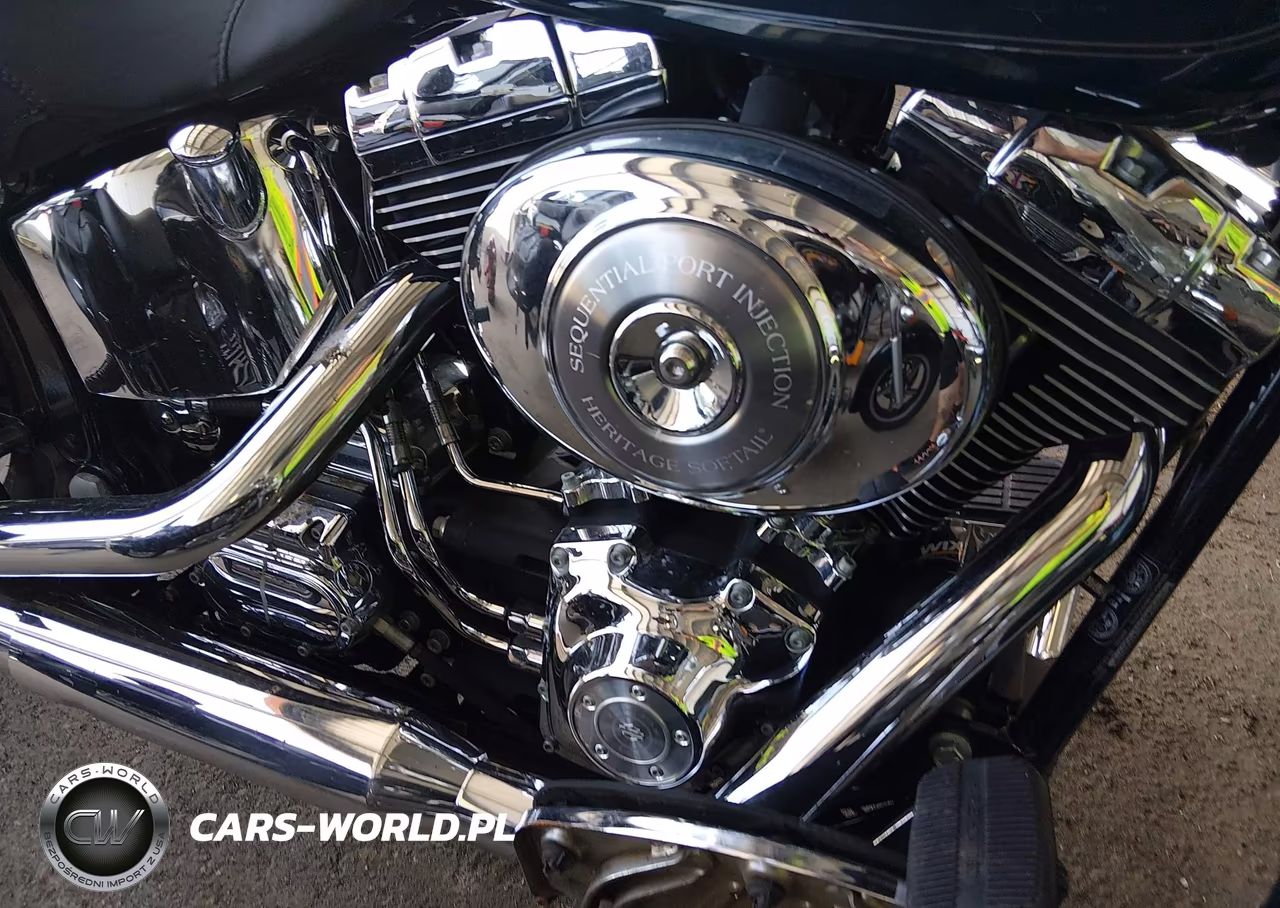 2001 Harley-Davidson Flstci VIN:1HD1BWB161Y056579 - 8