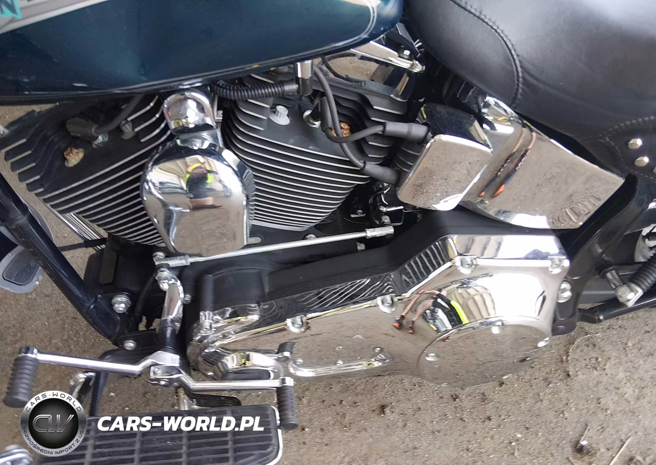 2001 Harley-Davidson Flstci VIN:1HD1BWB161Y056579 - 9