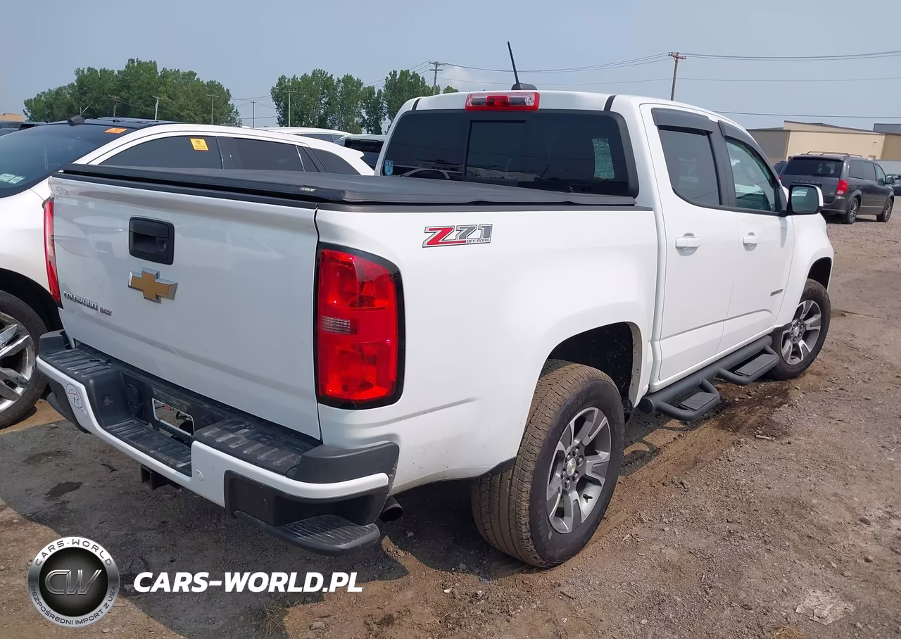 2020 Chevrolet Colorado 4Wd Short Box Z71 VIN:1GCGTDEN6L1240038 - 4