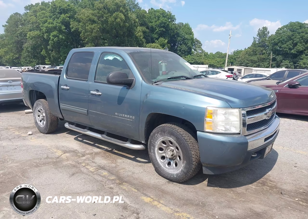 2010 Chevrolet Silverado 1500 Ls