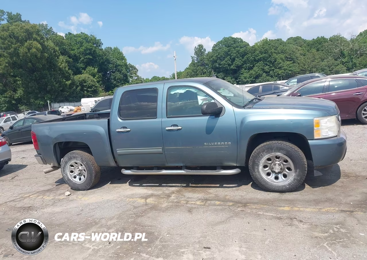 2010 Chevrolet Silverado 1500 Ls VIN:3GCRCREA1AG131701 - 13