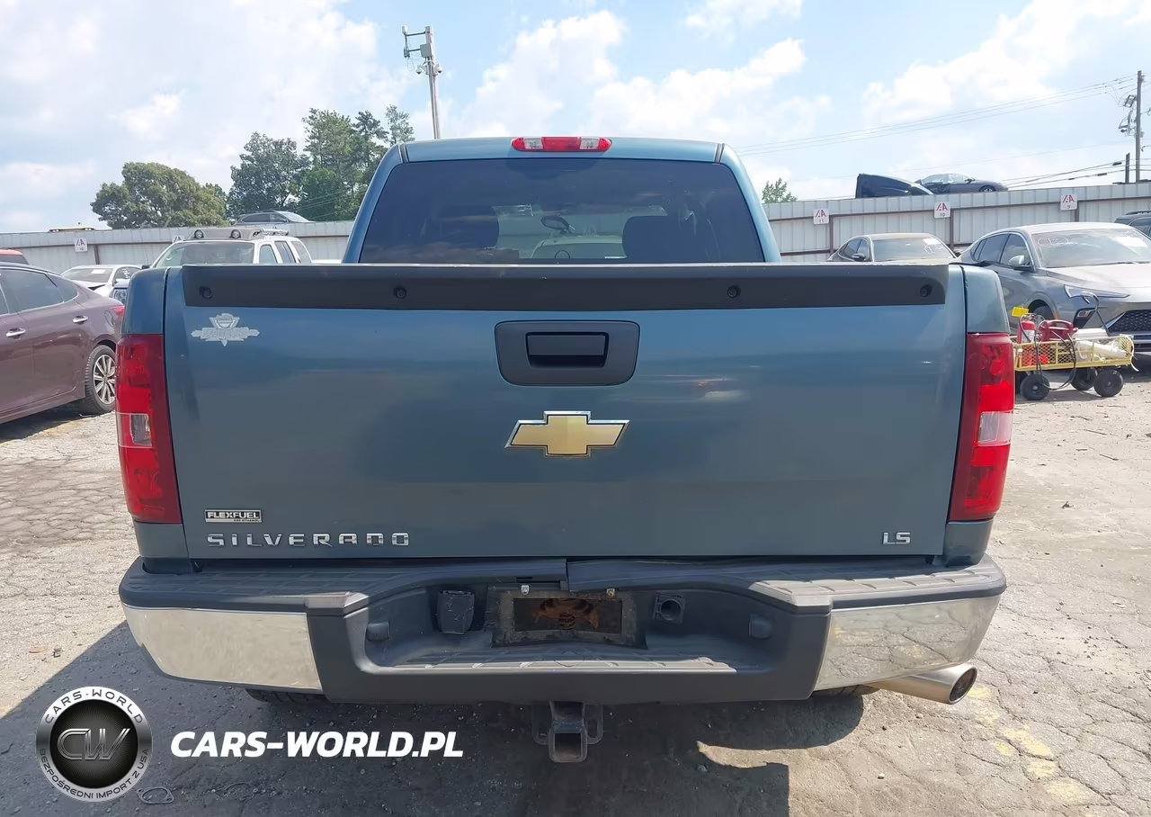 2010 Chevrolet Silverado 1500 Ls VIN:3GCRCREA1AG131701 - 16