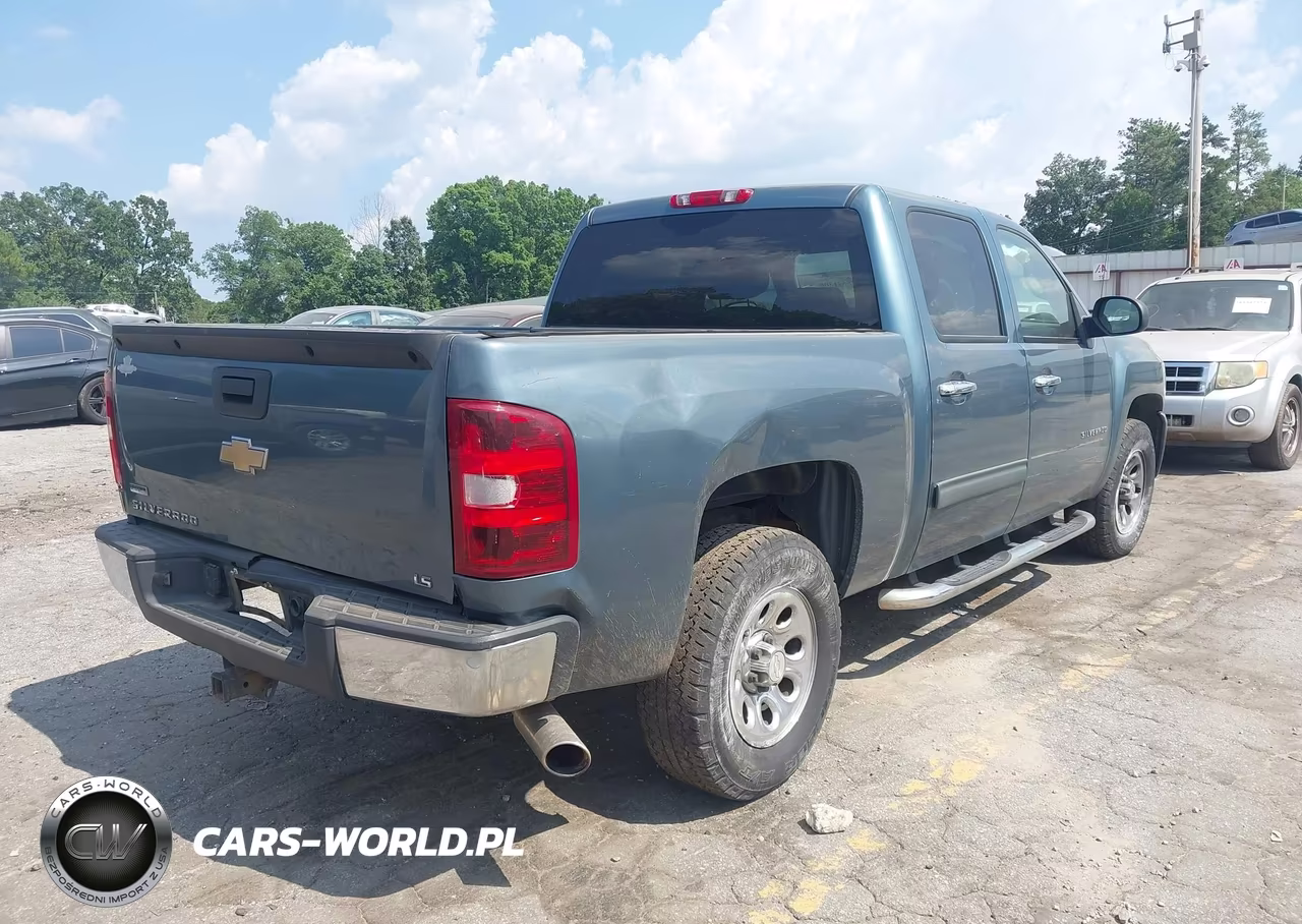 2010 Chevrolet Silverado 1500 Ls VIN:3GCRCREA1AG131701 - 4