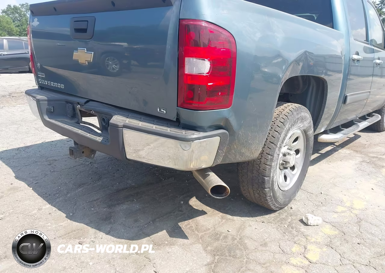 2010 Chevrolet Silverado 1500 Ls VIN:3GCRCREA1AG131701 - 6
