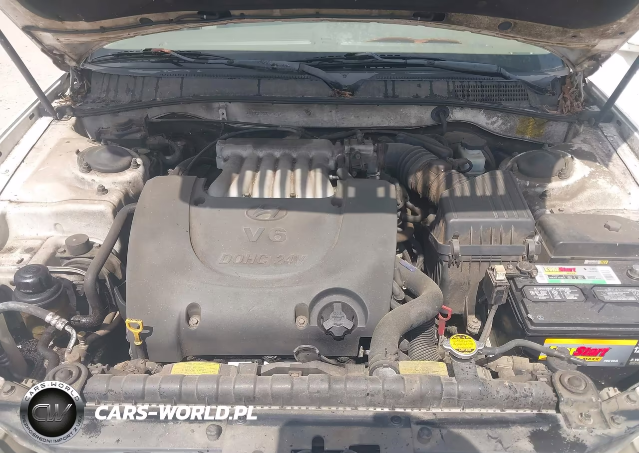 2003 Hyundai Sonata Gls-Lx VIN:KMHWF35H83A870694 - 10