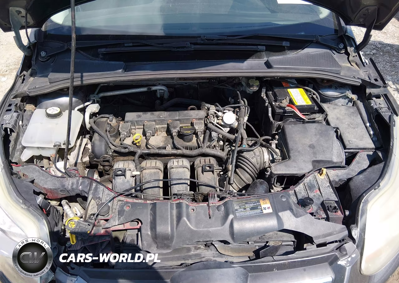 2014 Ford Focus Se VIN:1FADP3F25EL202044 - 10