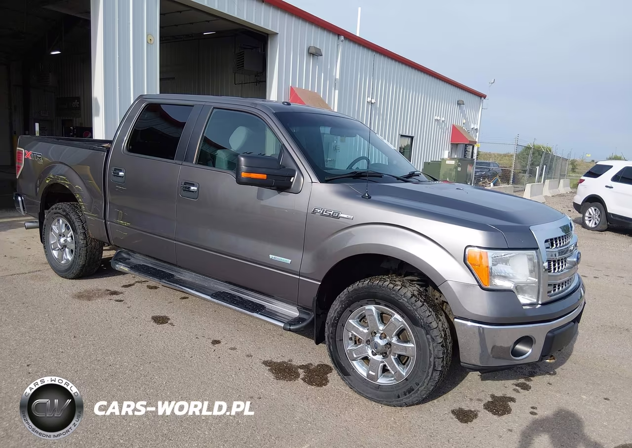 2013 Ford F-150 Fx4-King Ranch-Lariat-Limited-Platinum-Xl-Xlt