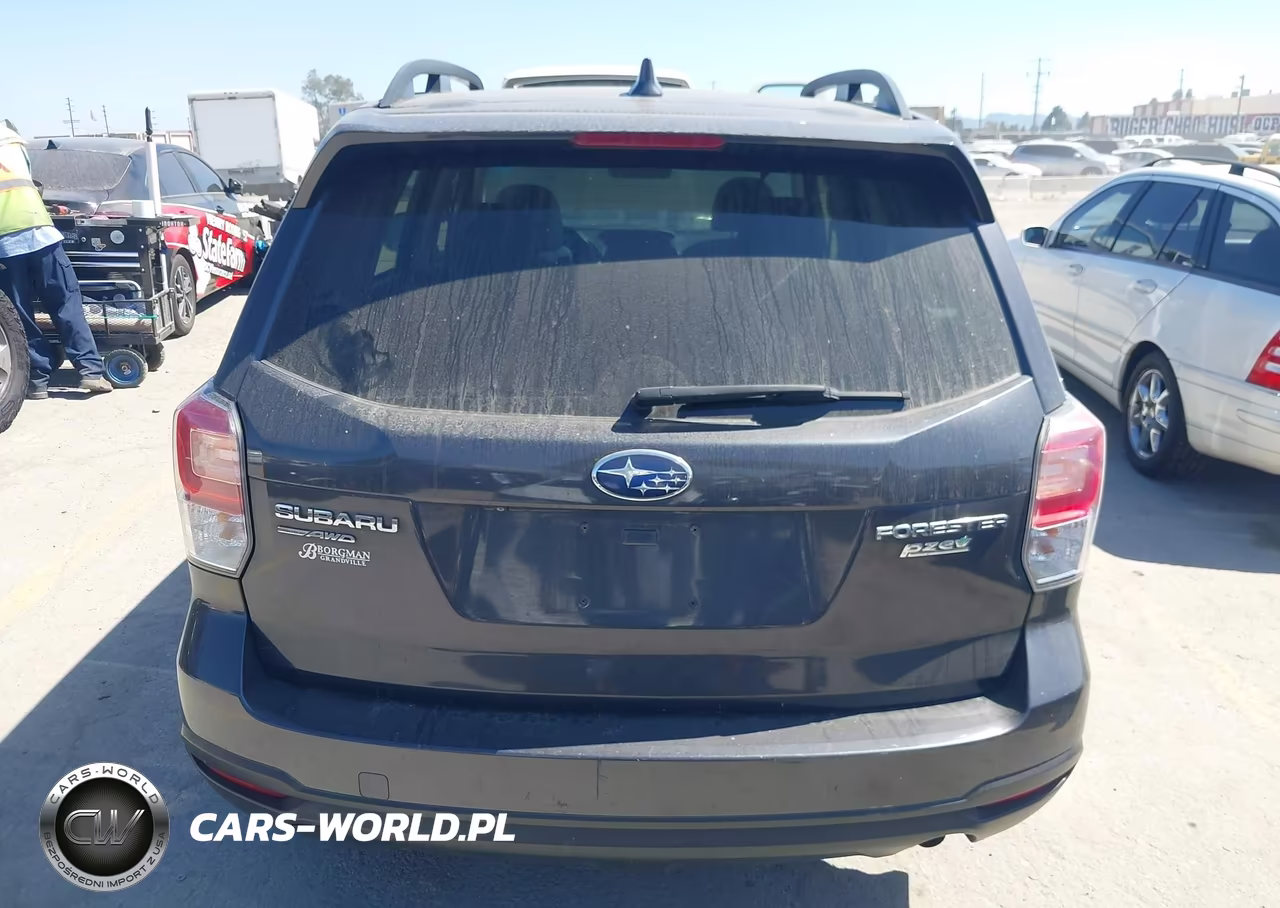 2017 Subaru Forester 2.5I Premium VIN:JF2SJAGC8HH444124 - 19