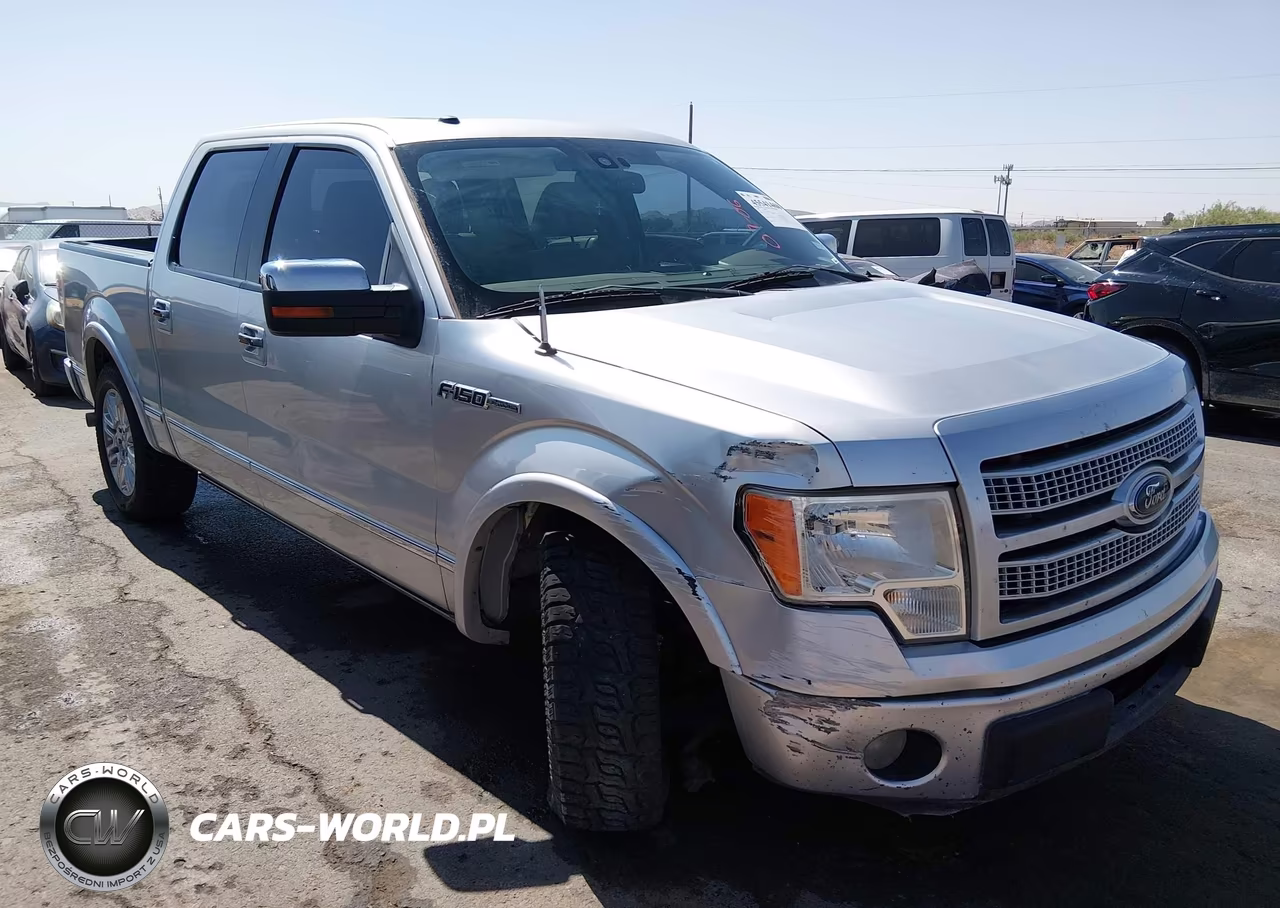2010 Ford F-150 Platinum – zdjęcie 1 z 16