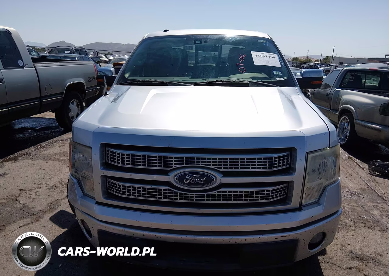 2010 Ford F-150 Platinum VIN:1FTFW1CV1AFA67694 - 12