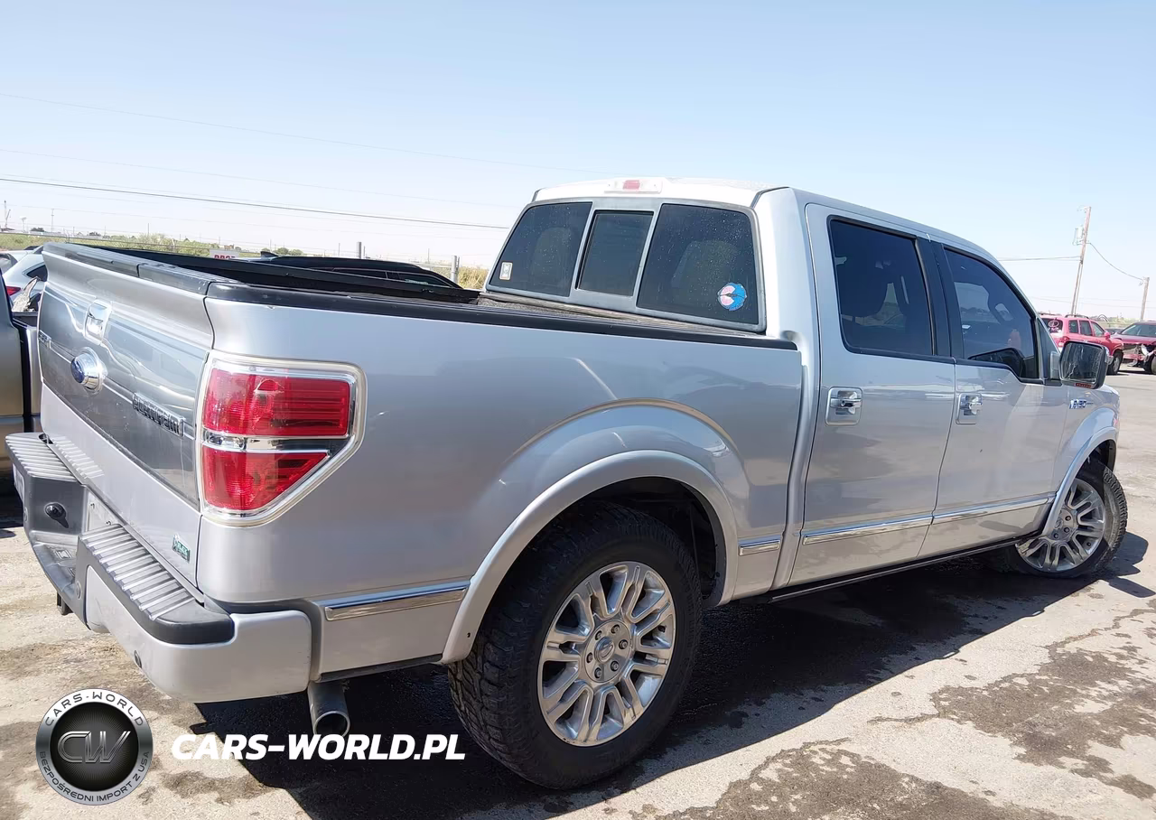 2010 Ford F-150 Platinum VIN:1FTFW1CV1AFA67694 - 13