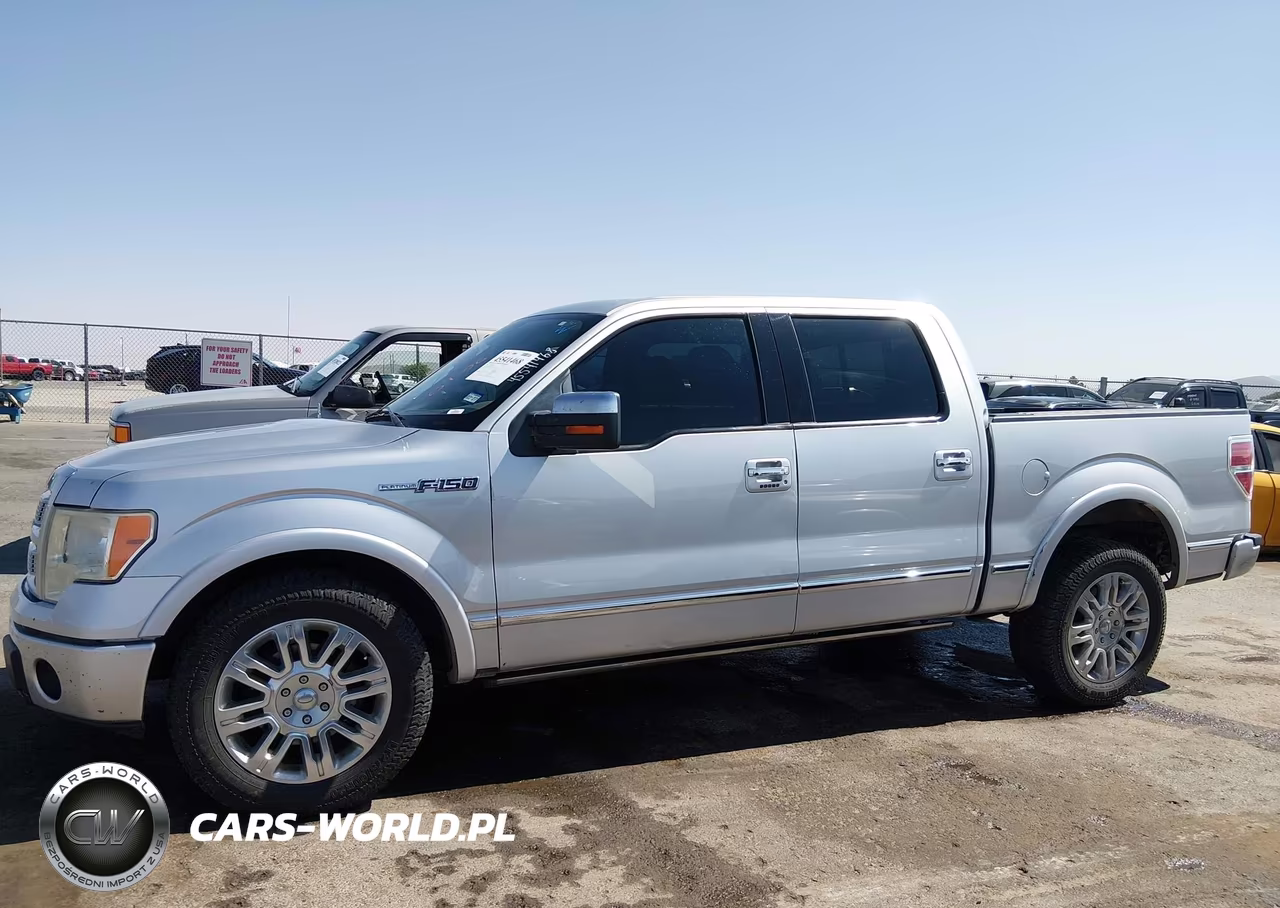2010 Ford F-150 Platinum VIN:1FTFW1CV1AFA67694 - 14