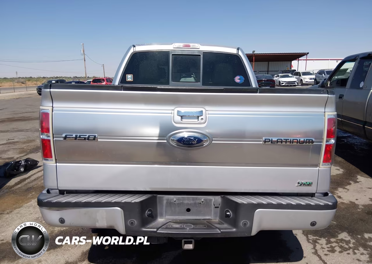 2010 Ford F-150 Platinum VIN:1FTFW1CV1AFA67694 - 16