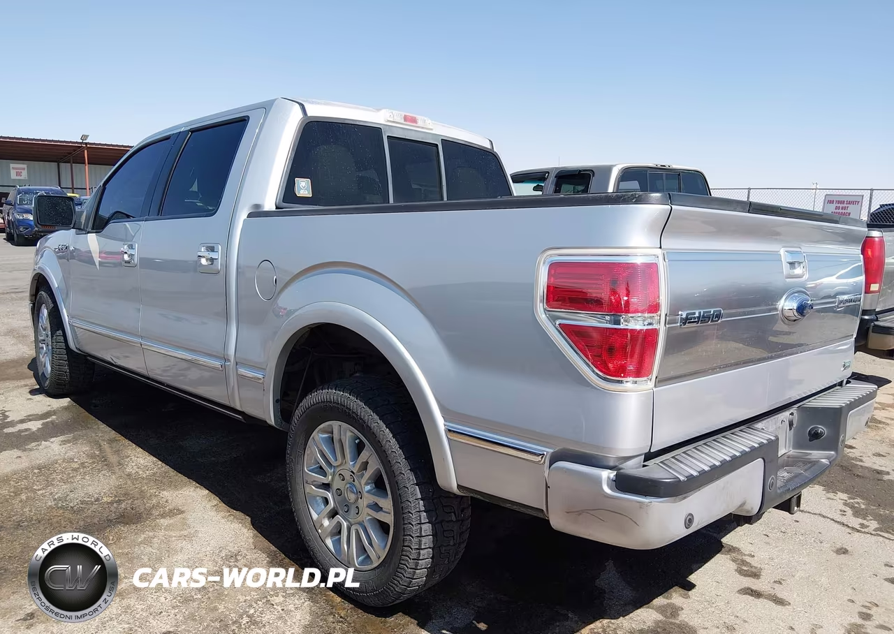 2010 Ford F-150 Platinum VIN:1FTFW1CV1AFA67694 - 3