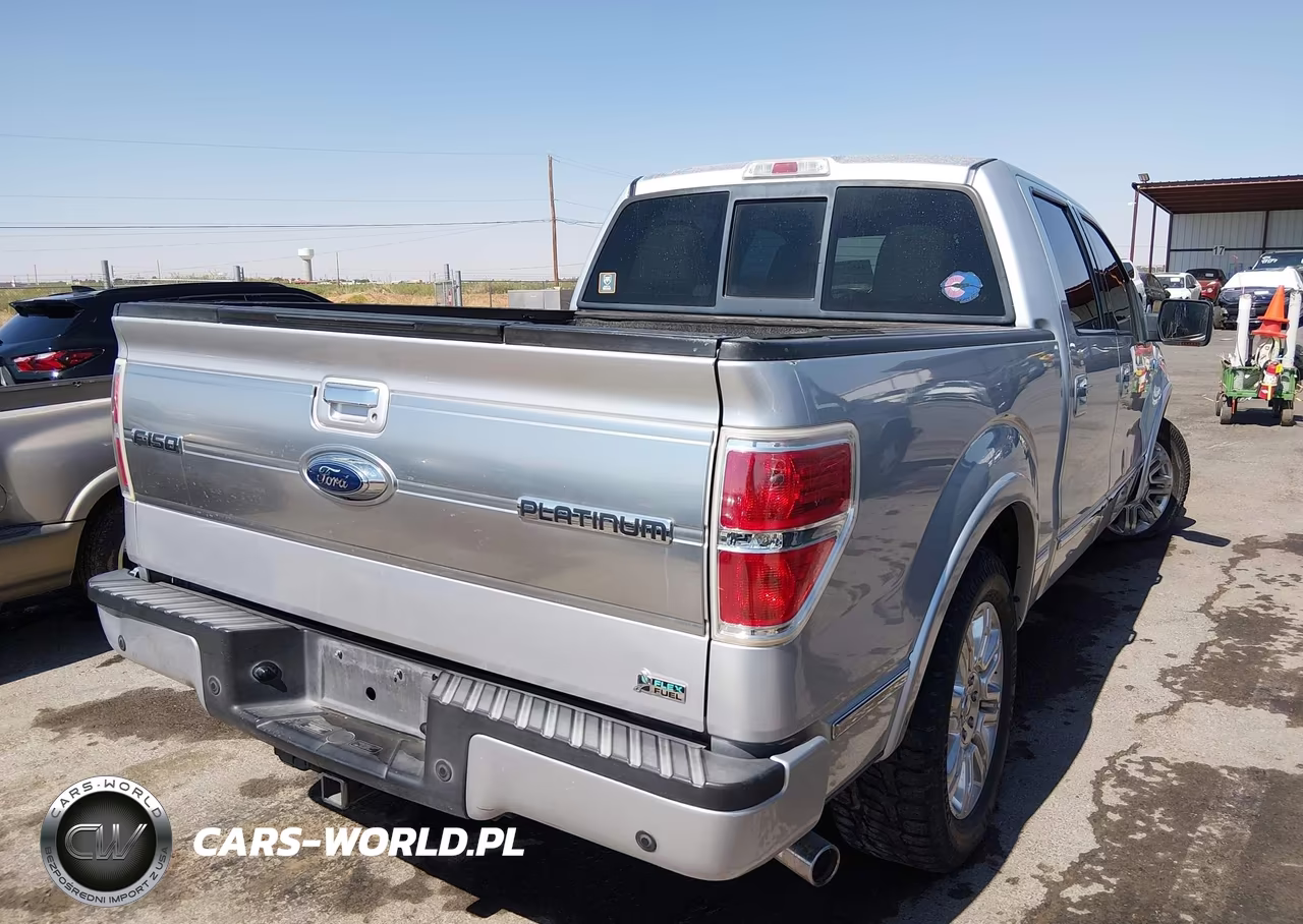 2010 Ford F-150 Platinum VIN:1FTFW1CV1AFA67694 - 4