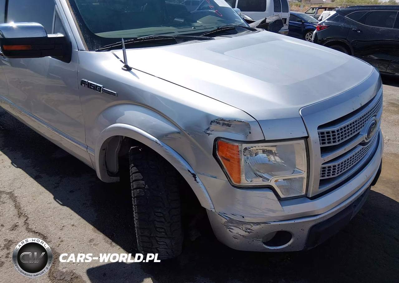 2010 Ford F-150 Platinum VIN:1FTFW1CV1AFA67694 - 6