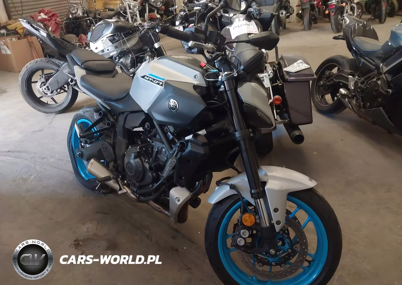 2025 Yamaha Mtn690 C