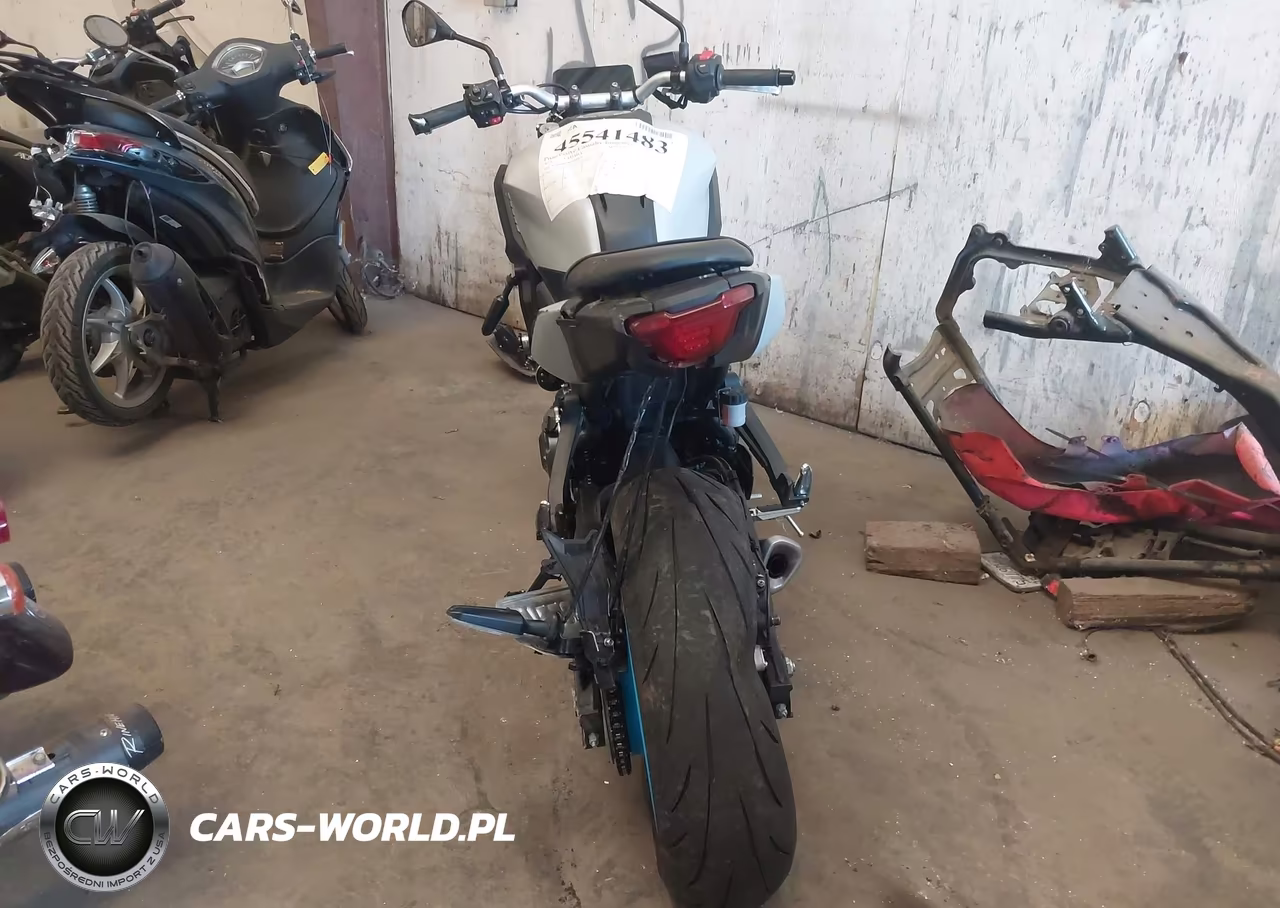 2025 Yamaha Mtn690 C VIN:JYARM48Y9SA000410 - 6