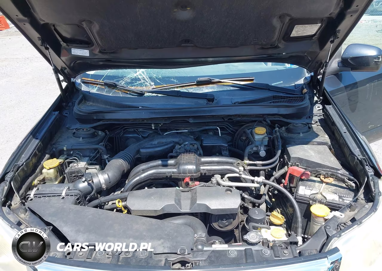2013 Subaru Forester 2.5X Premium VIN:JF2SHADC2DH439818 - 10