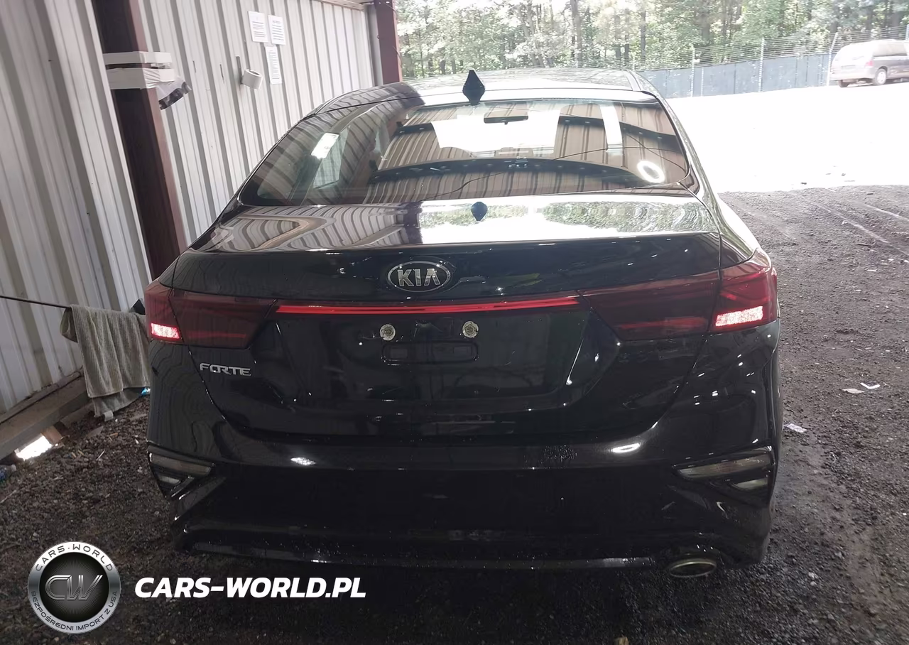 2021 Kia Forte Lxs VIN:3KPF24AD9ME339477 - 17
