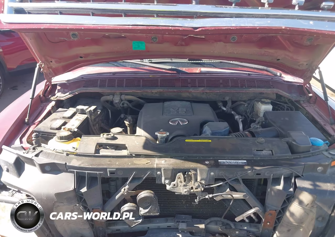 2010 Infiniti Qx56 VIN:5N3ZA0NC5AN900374 - 10