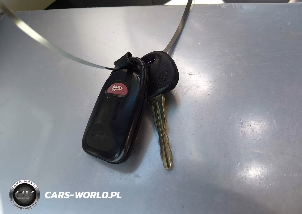 2007 Hyundai Sonata Limited-Limited W-Xm-Se-Se W-Xm VIN:5NPEU46F87H219458 - 11