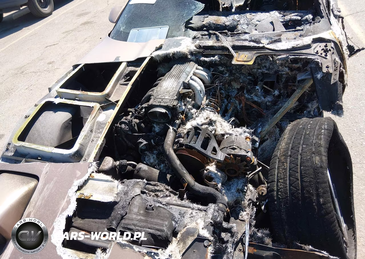 1985 Chevrolet Corvette VIN:1G1YY0781F5100894 - 10