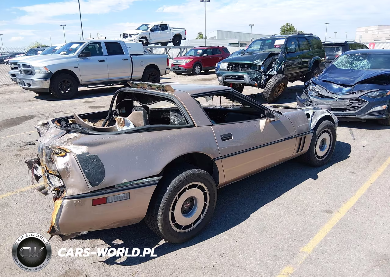 1985 Chevrolet Corvette VIN:1G1YY0781F5100894 - 4