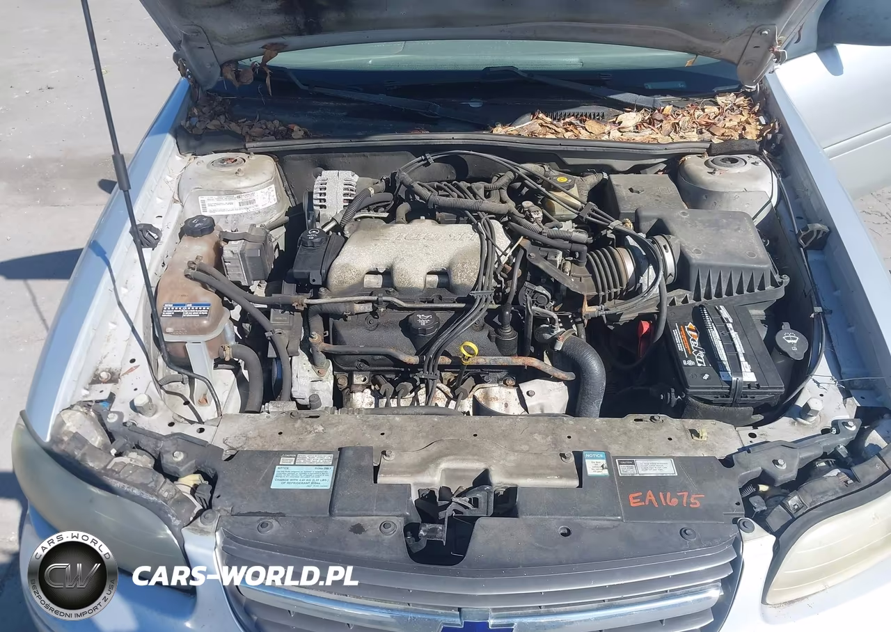 2003 Chevrolet Malibu VIN:1G1ND52J53M566917 - 10