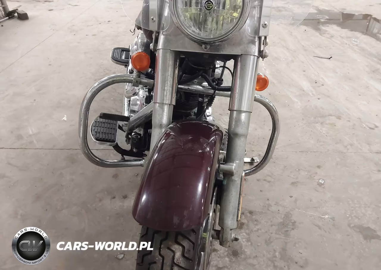 2005 Harley-Davidson Flstf VIN:1HD1BMY385Y013185 - 15